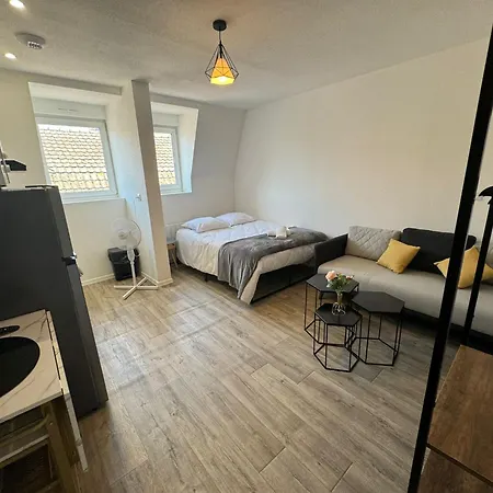 Apartment Studio Cosy Elegant Et Fonctionnel Centre Mulhouse