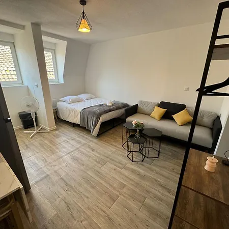 Studio Cosy Elegant Et Fonctionnel Centre Apartment *